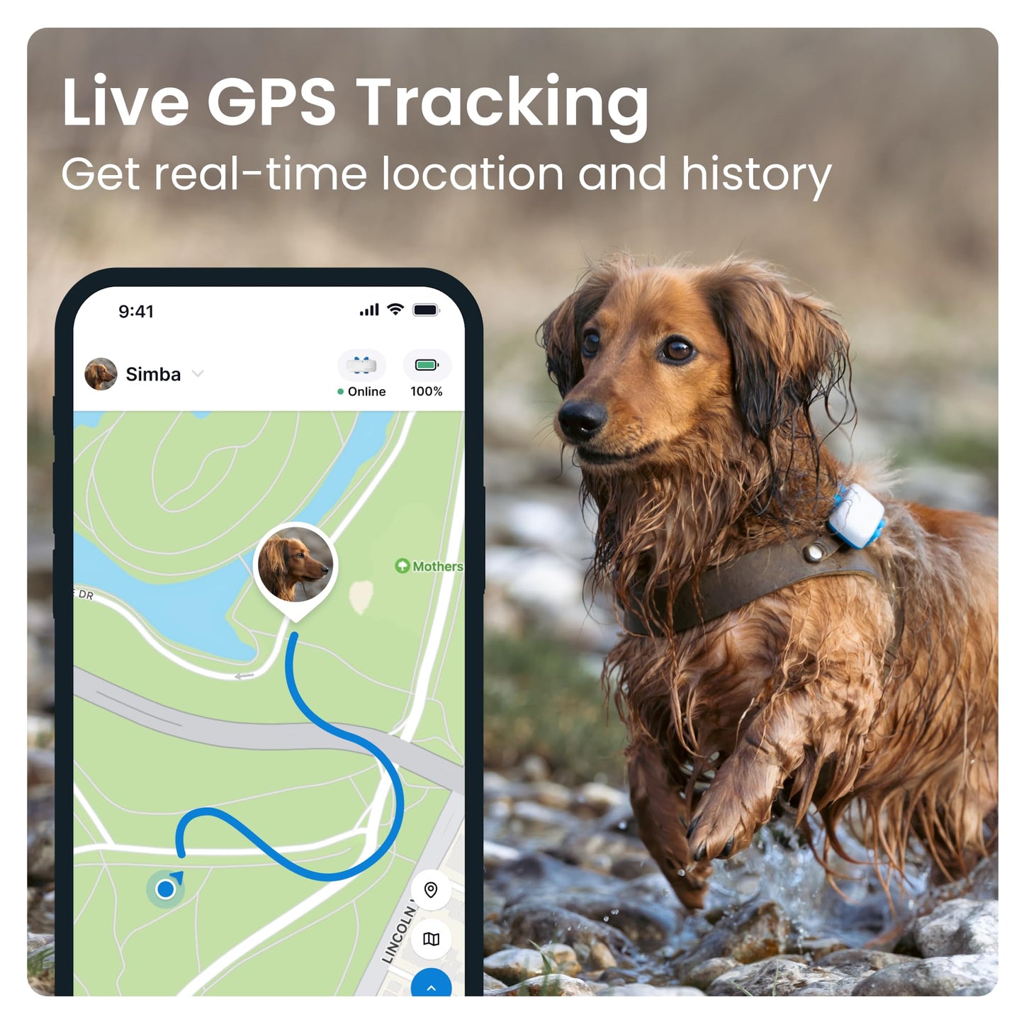 Dog GPS Pet Tracker - Midnight Blue