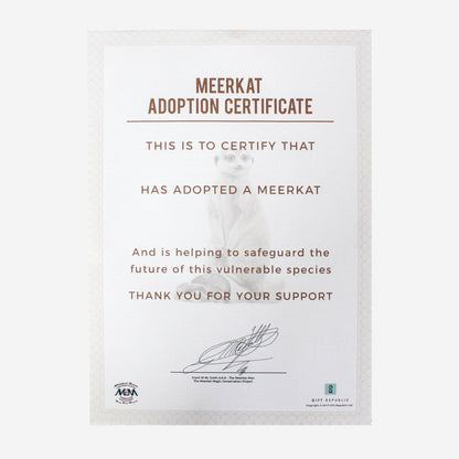 Adopt A Meerkat Gift