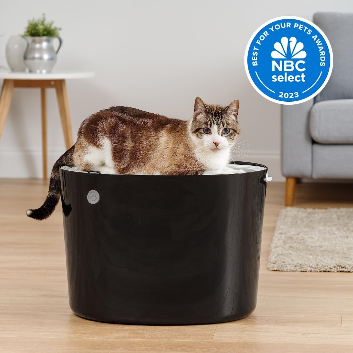 Top Entry Cat Litter Box