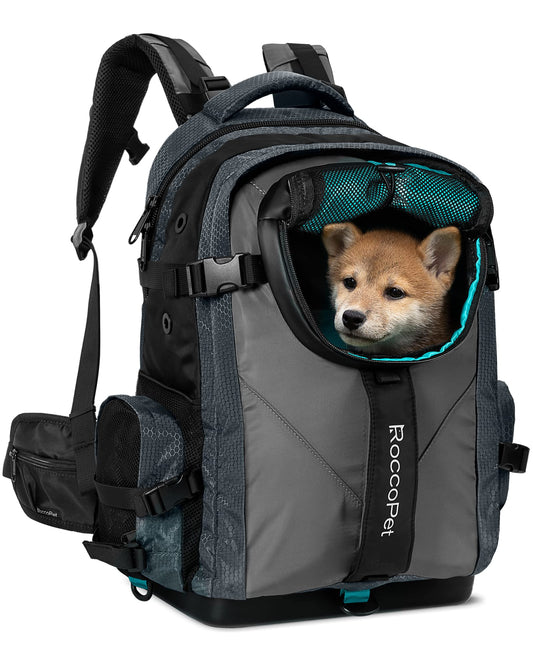 Pet and Laptop Backpack - Teal