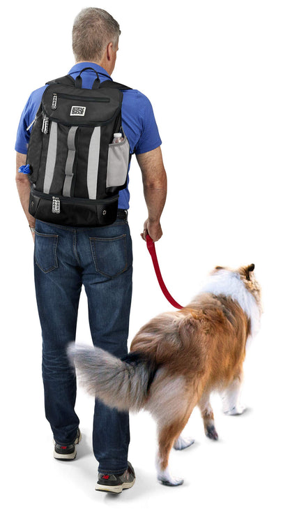 Dog Travel Bag