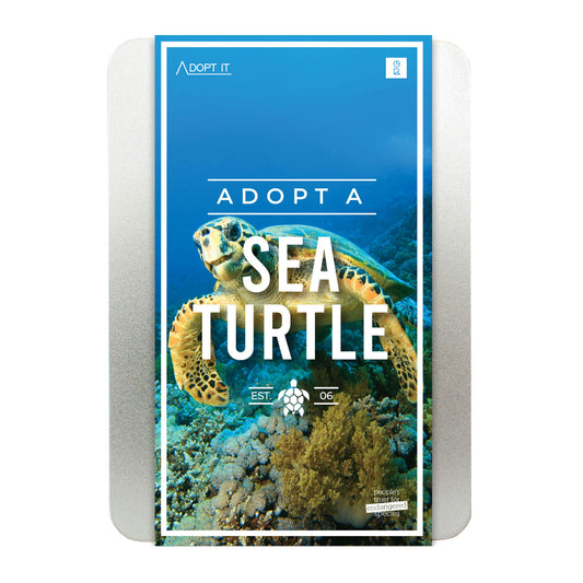 Adopt A Sea Turtle Gift