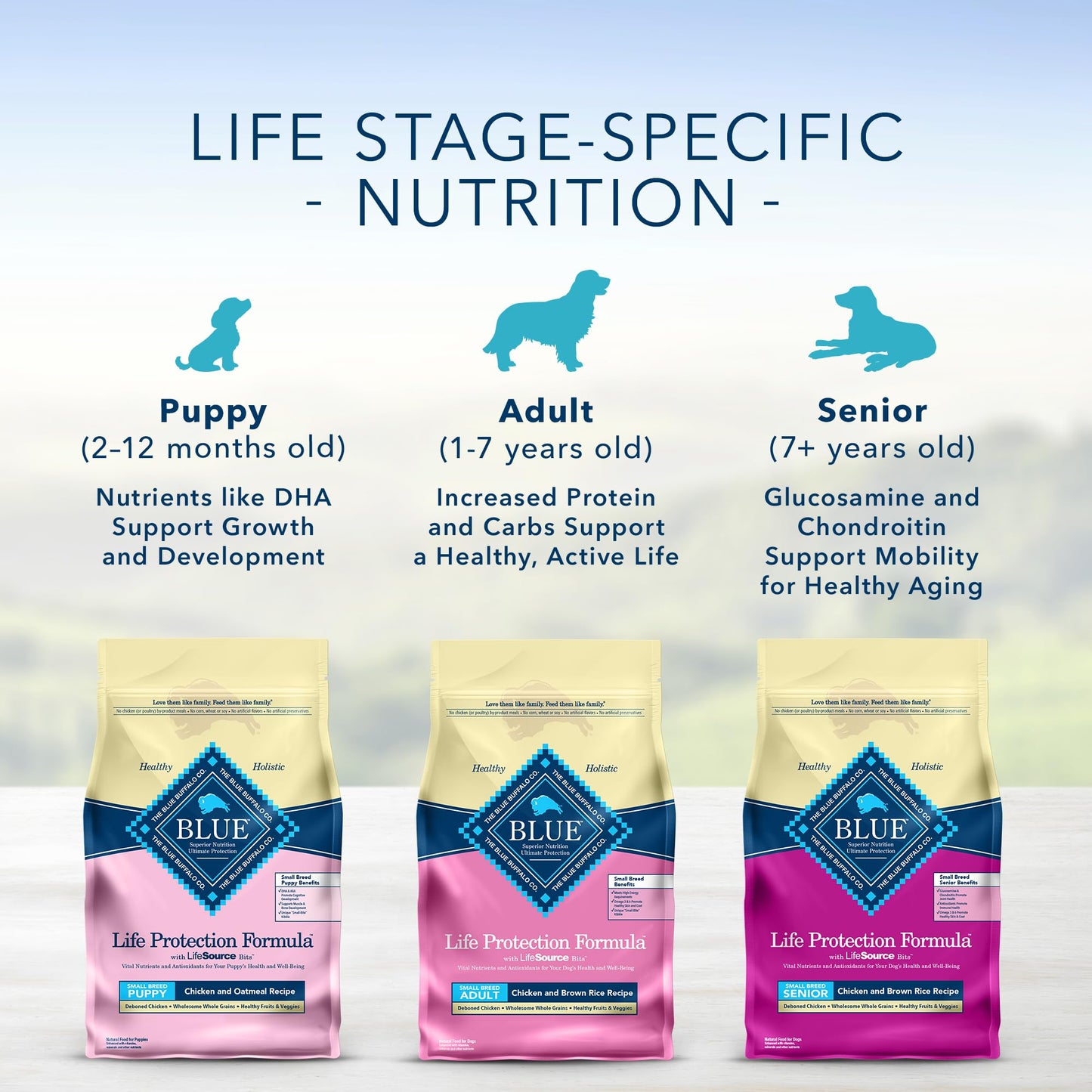 Life Protection Formula Natural Senior Small Breed Dry Dog Food