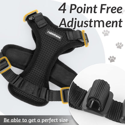 Cat Harness and Leash for Walking