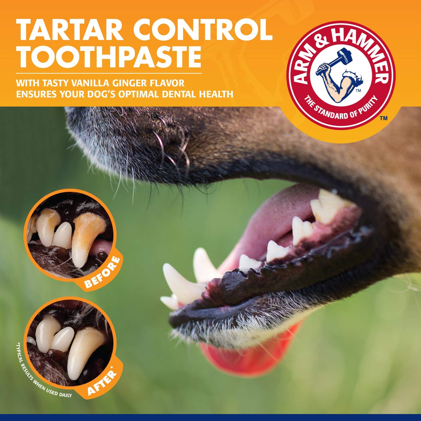Dental Training Kit for Puppies