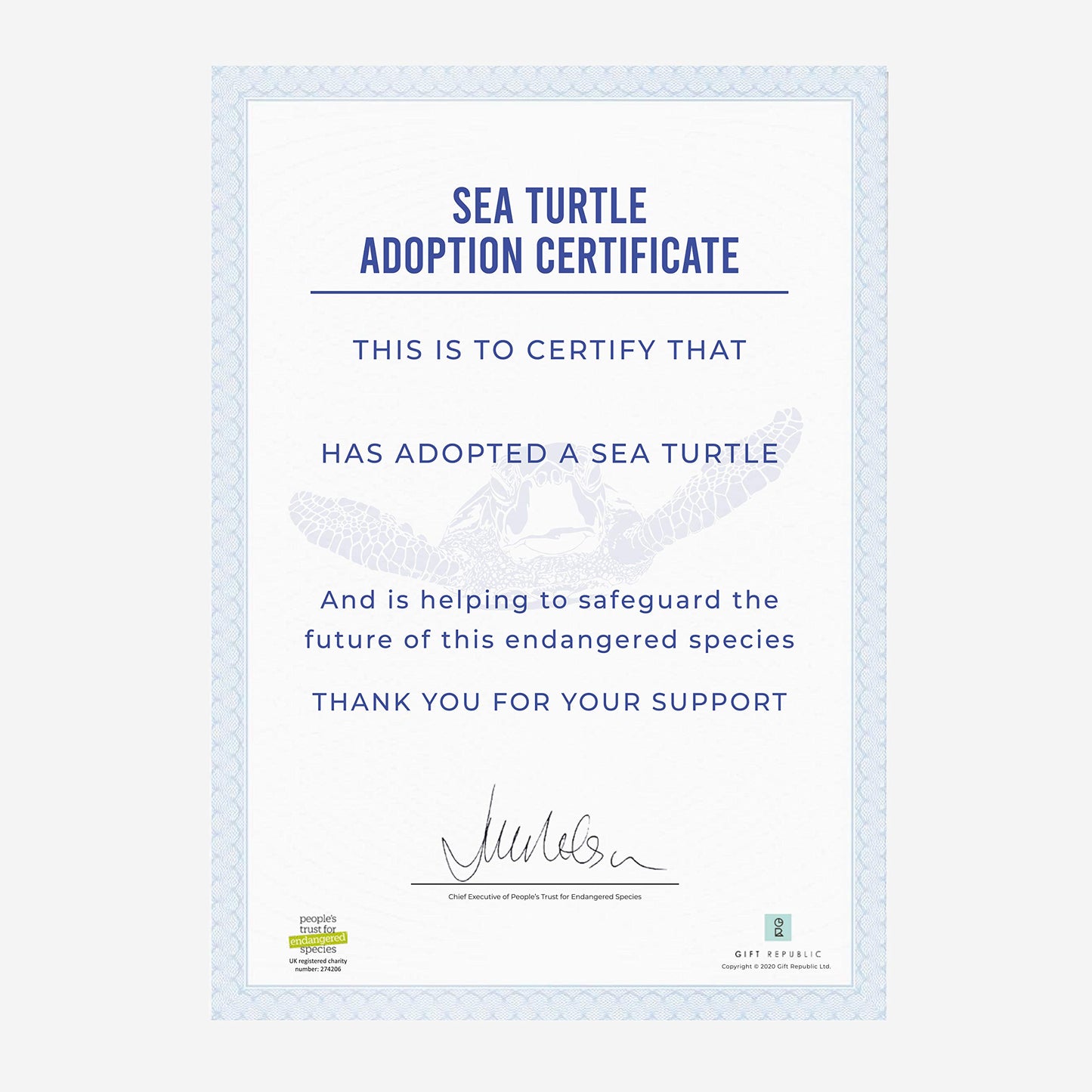 Adopt A Sea Turtle Gift