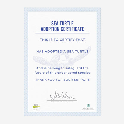 Adopt A Sea Turtle Gift