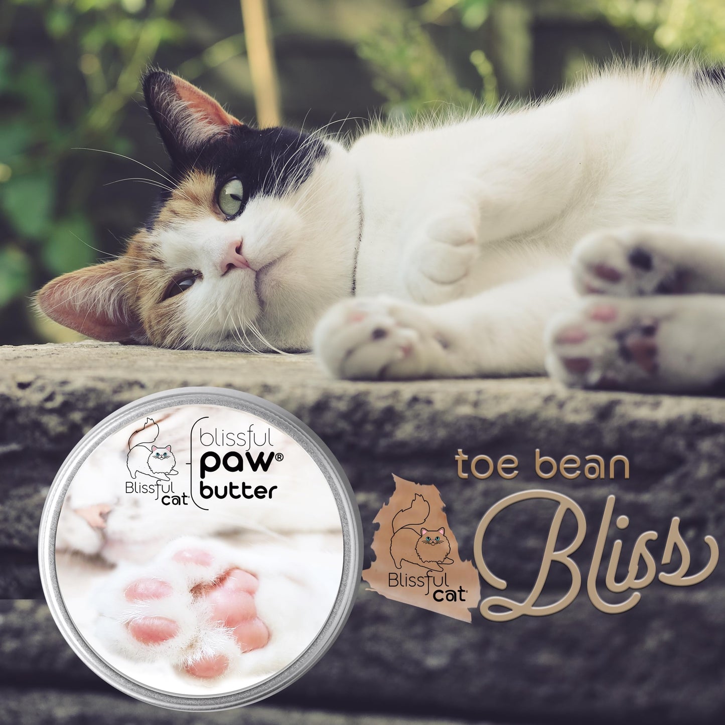 Cat Paw Butter Moisturizer - 2 oz