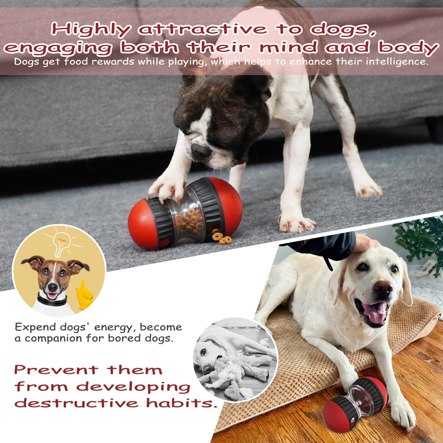 Treat Dispensing Puzzle Toy for Pets