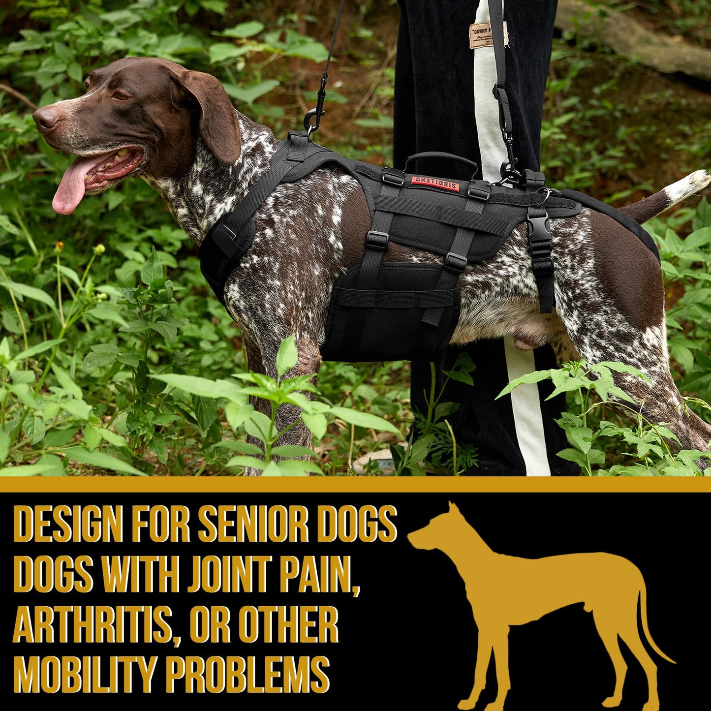 Dog Lift Harness for Large Dogs