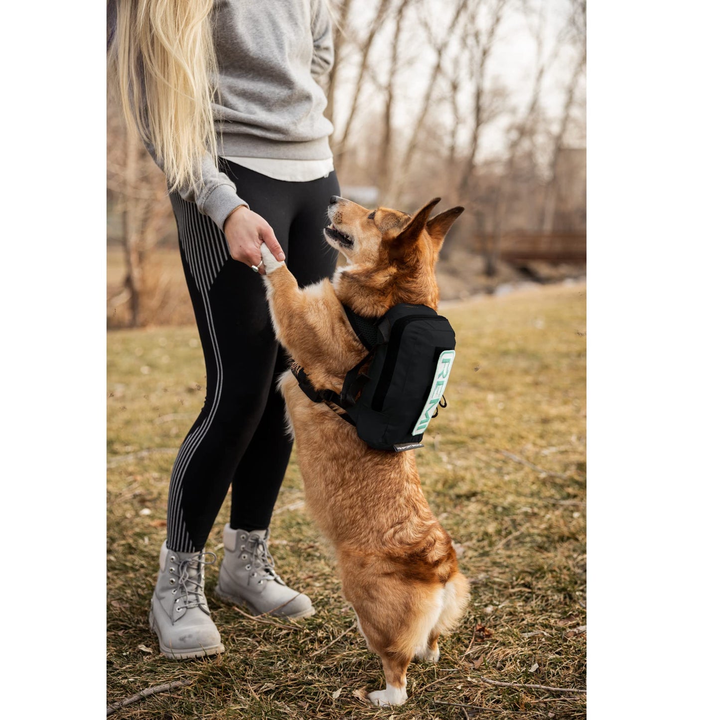 Dog Carrier Backpack with Harness - Extra Small