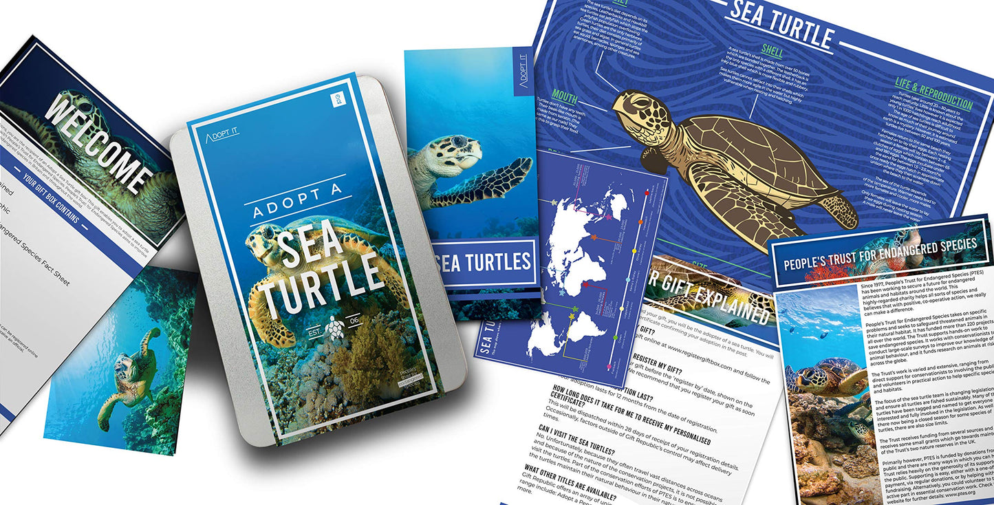 Adopt A Sea Turtle Gift