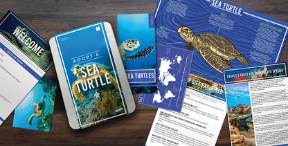 Adopt A Sea Turtle Gift