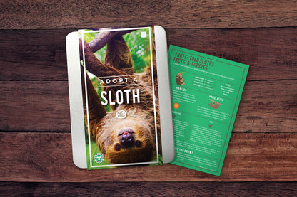 Adopt A Sloth Gift