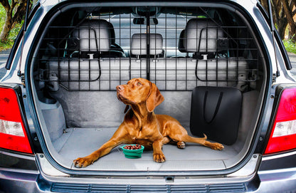 Foldable Dog Car Barrier - SUV Fit