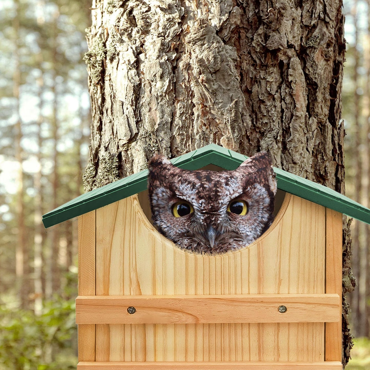 Handmade Cedar Owl House - 14" x 10"