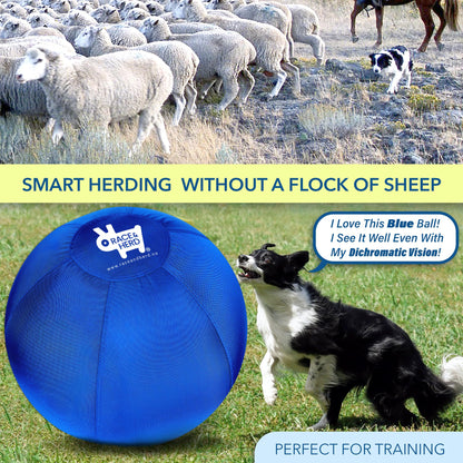 Herding Ball for Dogs - 25" Set