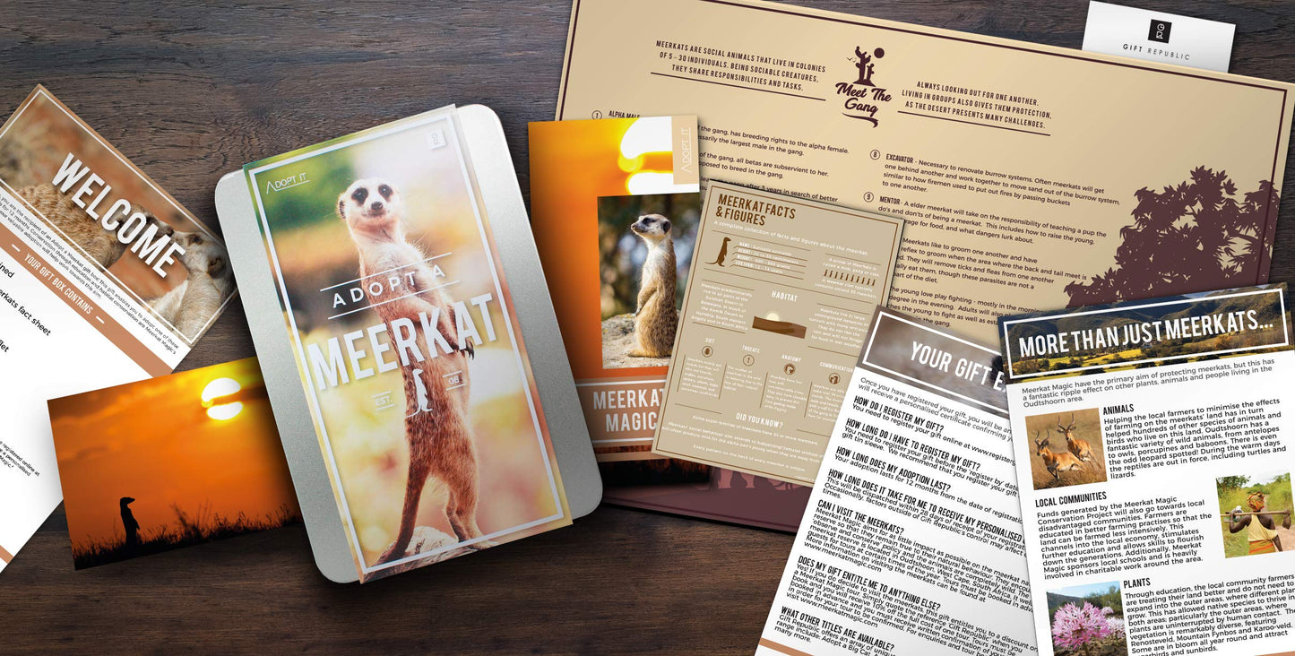 Adopt A Meerkat Gift