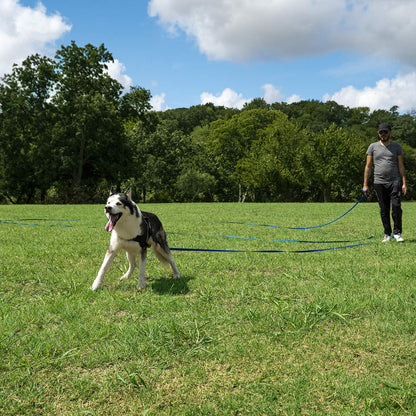 Dog/Puppy Obedience Recall Training Agility Lead